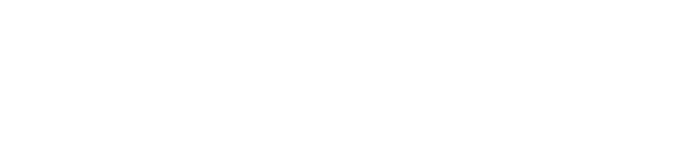 NIDOM Studio
